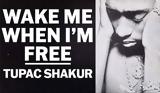 Wake Me When I’m Free, Έκθεση, Tupac Shakur, Λος Άντζελες,Wake Me When I’m Free, ekthesi, Tupac Shakur, los antzeles