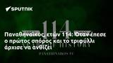 Παναθηναϊκός, 114, Όταν,panathinaikos, 114, otan