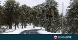 Ανοικτοί, 4Χ4, Τρόοδος,anoiktoi, 4ch4, troodos