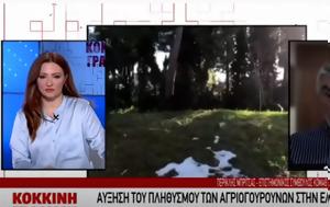 Υπερπληθυσμός, Παρέμβαση, ΚΟΜΑΘ, Action24…, VIDEO, yperplithysmos, paremvasi, komath, Action24…, VIDEO