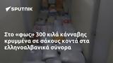 Στο «φως» 300 κιλά κάνναβης κρυμμένα σε σάκους κοντά στα ελληνοαλβανικά σύνορα,