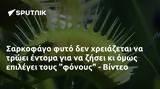 Σαρκοφάγο, - Βίντεο,sarkofago, - vinteo