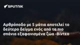 Αρθρόποδο, -Βίντεο,arthropodo, -vinteo