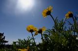 Καιρός – Meteo, Ανεβαίνει, Τρίτη 1502,kairos – Meteo, anevainei, triti 1502