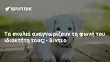 - Βίντεο,- vinteo