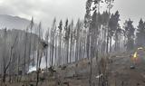 Μαίνονται, Αργεντινή,mainontai, argentini