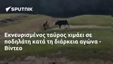 Εκνευρισμένος, - Βίντεο,eknevrismenos, - vinteo