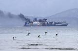 Euroferry Olympia, Παντού, Σάμινα,Euroferry Olympia, pantou, samina