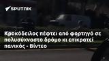 Κροκόδειλος, - Βίντεο,krokodeilos, - vinteo