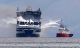 Euroferry Olympia, Εντοπίστηκαν,Euroferry Olympia, entopistikan