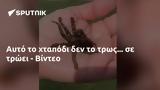 Αυτό, - Βίντεο,afto, - vinteo