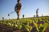 EU Agriculture Ministers, Three,Greek