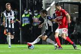 Ball-boy, Πορτιμονένσε – Μπενφίκα,Ball-boy, portimonense – benfika