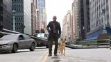 I Am Legend, Έρχεται, Γουίλ Σμιθ,I Am Legend, erchetai, gouil smith