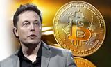 Bitcoin Ether, Μικρή, Elon Musk,Bitcoin Ether, mikri, Elon Musk