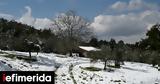 Καιρός-Αρναούτογλου, Χιόνια,kairos-arnaoutoglou, chionia