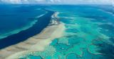 Αποχρωματίζεται, Μεγάλος Κοραλιογενής Ύφαλος,apochromatizetai, megalos koraliogenis yfalos