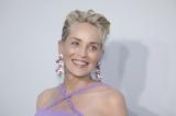 Sharon Stone, Επιστρέφει,Sharon Stone, epistrefei