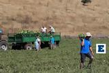 Έρχεται Κάρτα Αγρότη,erchetai karta agroti