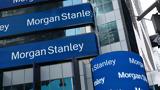 Morgan Stanley, Bear Market Rally - Καταφύγιο,Morgan Stanley, Bear Market Rally - katafygio