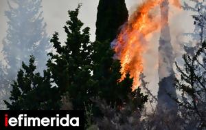 Μεγάλη, Ρόδο -Εντολή, megali, rodo -entoli