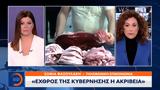 Κυβερνητικός Εκπρόσωπος, Εχθρός, Κυβέρνησης,kyvernitikos ekprosopos, echthros, kyvernisis