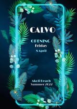 Opening,Calvo