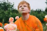 Ed Sheeran, Shape,You