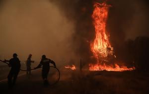 Συναγερμός, Πυροσβεστική, Μεγάλη, Ζάκυνθο, synagermos, pyrosvestiki, megali, zakyntho