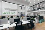 Cactus Technology Hub, Θεσσαλονίκη,Cactus Technology Hub, thessaloniki