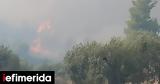 Wildfire,Mola Kaliva Halkidiki