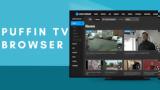 Puffin TV Browser -,Android TV