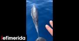 Δελφίνια, Σερίφου [βίντεο],delfinia, serifou [vinteo]
