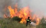 Τα μέτρα που προβλέπονται για την καύση πολυετών φυτειών,