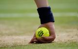 Τένις, Wimbledon, Ρώσων, Λευκορώσων,tenis, Wimbledon, roson, lefkoroson