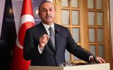 Cavusoglu, ‘NATO,Ukraine