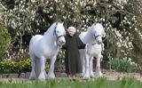 Ελισάβετ, 96 –, Φίλιππο,elisavet, 96 –, filippo