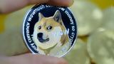 AMC,Dogecoin