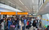 Άμστερνταμ, Χάος, Schiphol,amsterntam, chaos, Schiphol