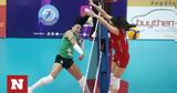 Ολυμπιακός – Παναθηναϊκός, Volley League,olybiakos – panathinaikos, Volley League