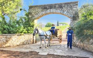 Ιστορική Οινοποιία Αchaia Clauss, 162, Ελληνικού Οίνου, istoriki oinopoiia achaia Clauss, 162, ellinikou oinou