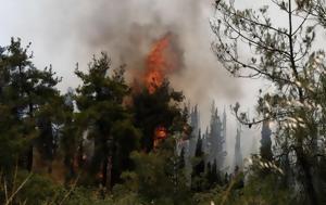 Θεσσαλονίκη, Φωτιά, Σέιχ Σου - Κοντά, Περιφερειακό, thessaloniki, fotia, seich sou - konta, perifereiako