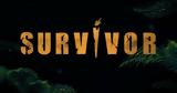 Survivor,115