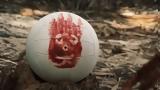 Mπάλα, Τομ Χανκς, Cast Away,Mpala, tom chanks, Cast Away