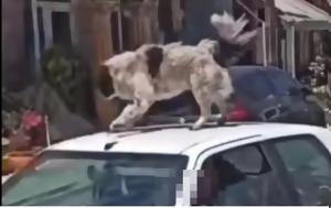 Καρδίτσα, Χειροπέδες, karditsa, cheiropedes