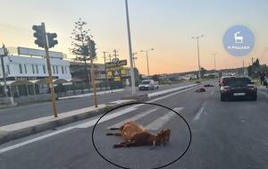 Ρόδος, Ταξί, – Ανατριχιαστικές, rodos, taxi, – anatrichiastikes
