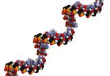 Ενας RNA,enas RNA