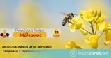 Γιορτάζουμε, Παγκόσμια Ημέρα Μέλισσας, Τσαμάκια,giortazoume, pagkosmia imera melissas, tsamakia