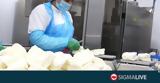 Σύνδεσμος Τυροκόμων,syndesmos tyrokomon