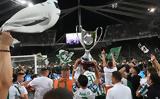 Παναθηναϊκός, Κυπελλούχοι,panathinaikos, kypellouchoi